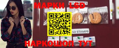 ПСИЛОЦИБИНОВЫЕ ГРИБЫ Камышлов